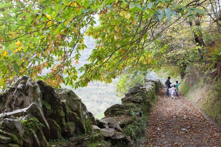 Paderne, O Caurel, Provincia de Lugo, Galicia