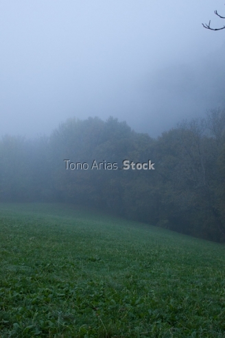 Paderne, O Caurel, Provincia de Lugo, Galicia