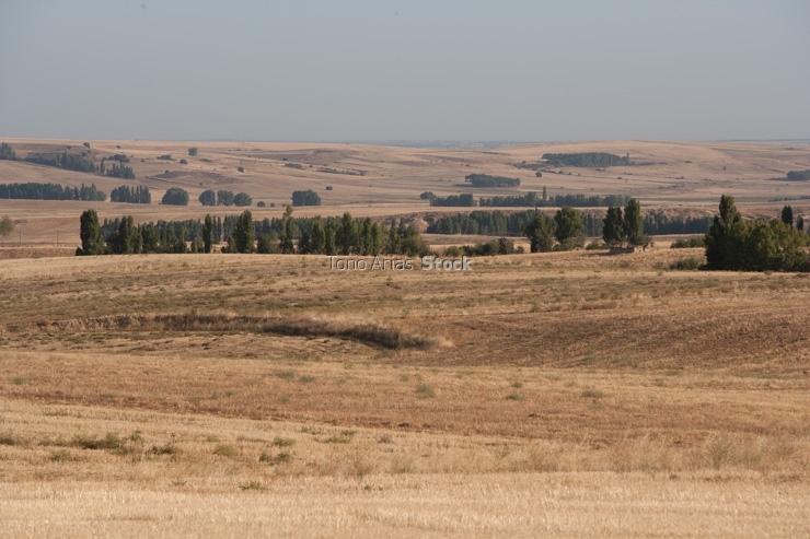 Paisaje , Ávila, Castilla León,