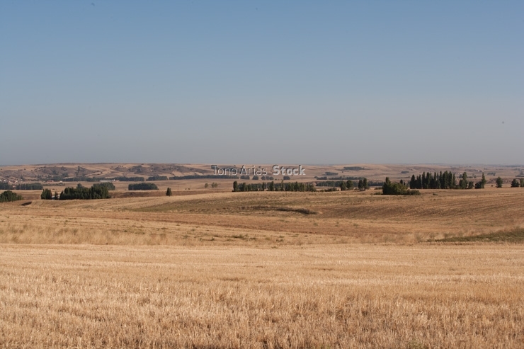 Paisaje , Ávila, Castilla León,