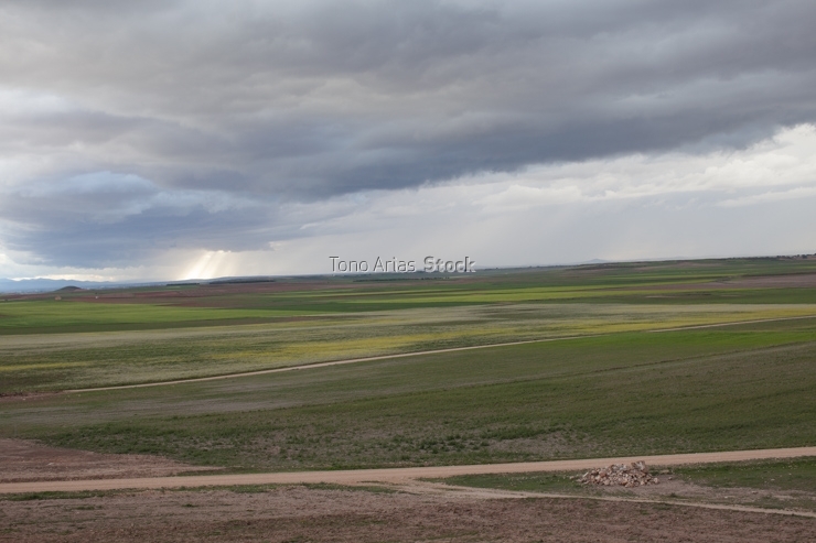 Paisaje, Castilla La Mancha, Ciudad Real