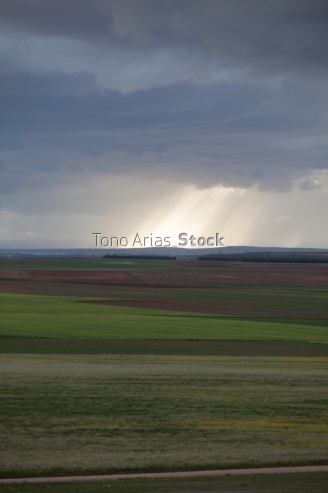 Paisaje, Castilla La Mancha, Ciudad Real