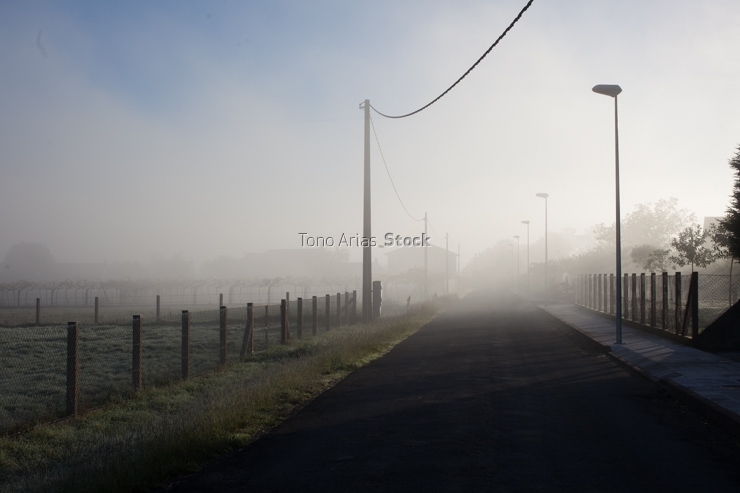 Paisaje de carretera con niebla, A Estrada , Pontevedra, Galicia