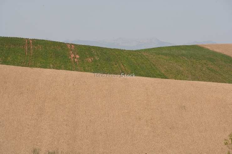 Paisaje San Millán de la Cogolla