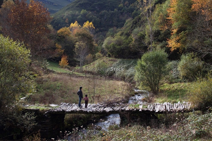 Paisaxe cerca de Ferramulín, O Caurel, provincia de Lugo, Galic
