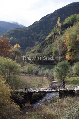 Paisaxe cerca de Ferramulín, O Caurel, provincia de Lugo, Galic