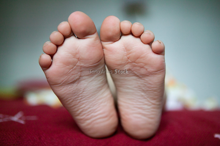 Pies