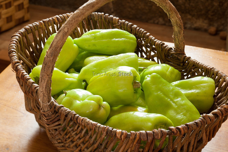 Pimientos