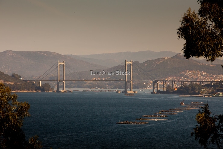 Ponte de Rande, ría de Vigo, Galicia