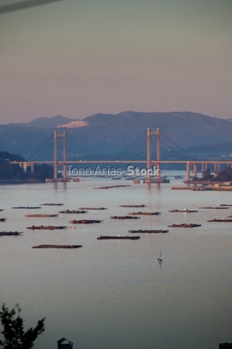 Ponte de Rande, ría de Vigo, Galicia