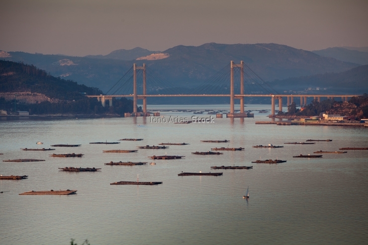 Ponte de Rande, ría de Vigo, Galicia