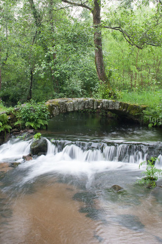 Ponte en Vilar de Francos