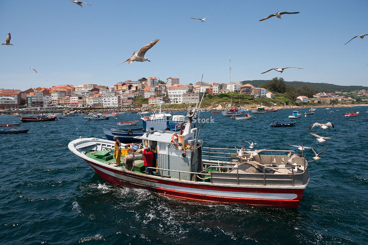 Porto de Fisterra