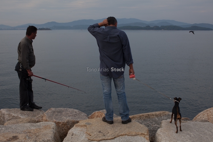 Porto de Vilaxóan, Vilagarcía de Arousa, provincia de Ponteved