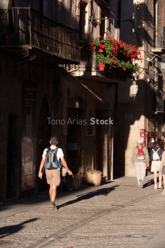 Puente la Reina Navarra