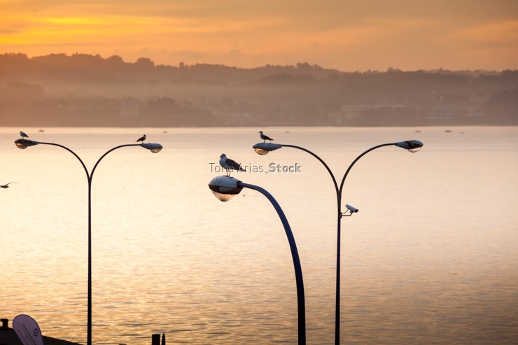 Puerto, A Coruña, Galicia 