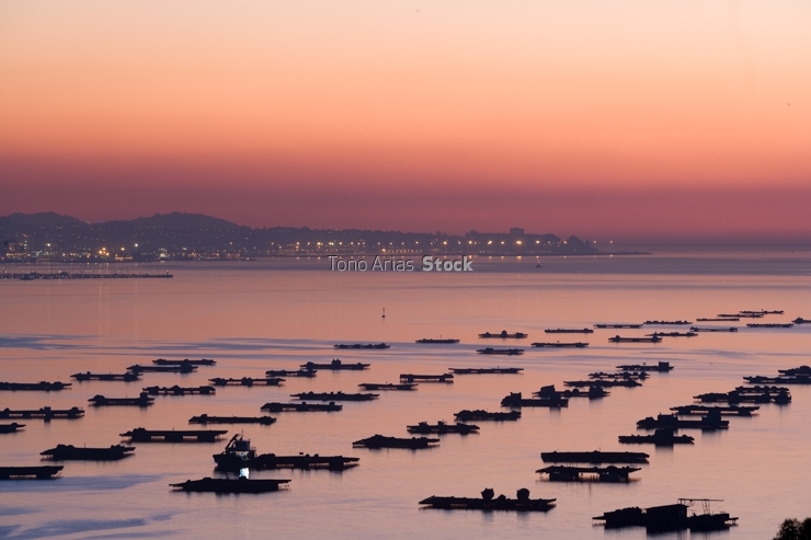Ría de Vigo, Galicia