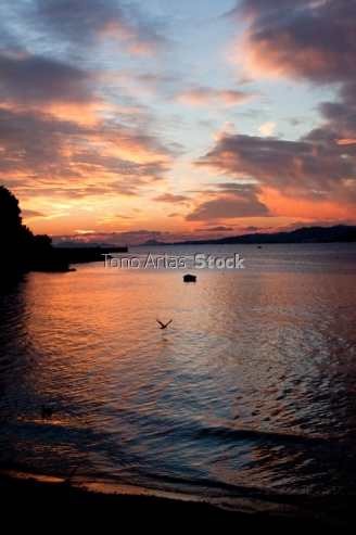 Ría de Vigo, Galicia