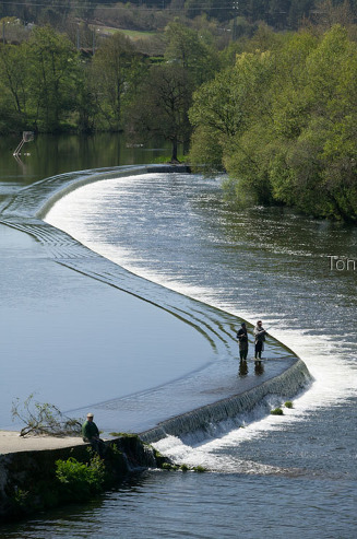 Río Miño, Lugo