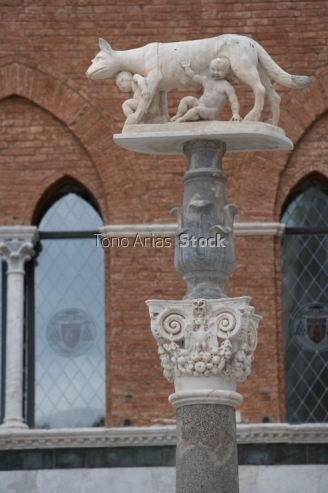 Siena, Toscana, Italia