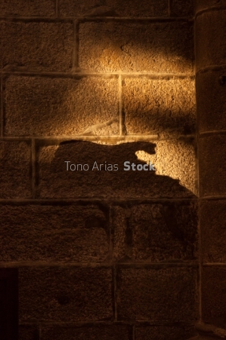 Sombras, interior Catedral de Santiago, Galicia