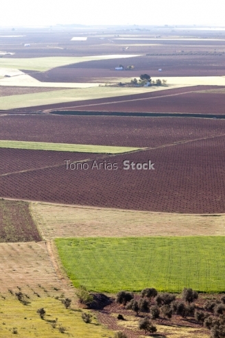 Terrenos agrícolas, Alcazar de San Juan, Castilla la Mancha