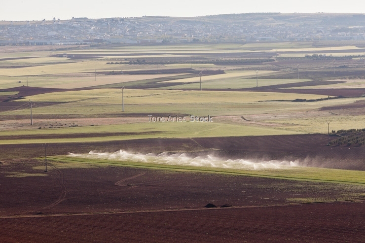 Terrenos agrícolas, Alcazar de San Juan, Castilla la Mancha