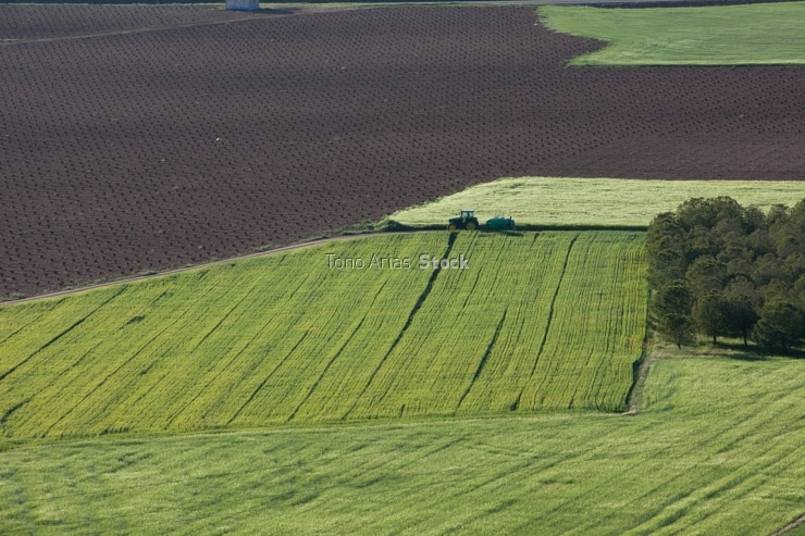 Terrenos agrícolas, Alcazar de San Juan, Castilla la Mancha