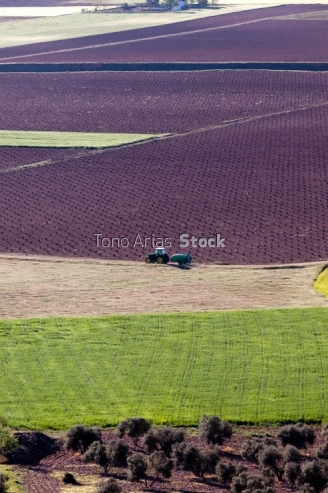 Terrenos agrícolas, Alcazar de San Juan, Castilla la Mancha
