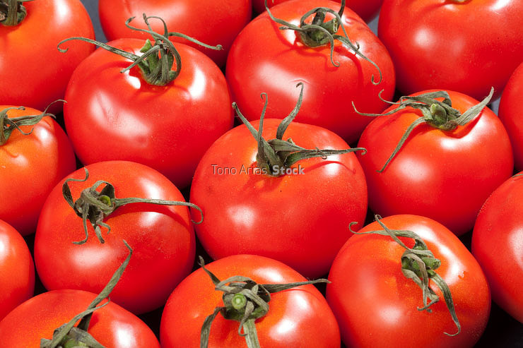 Tomates