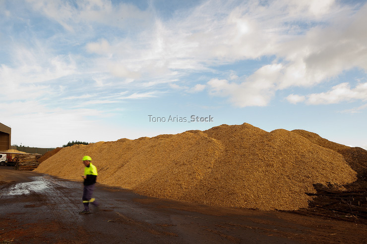 Tono Arias