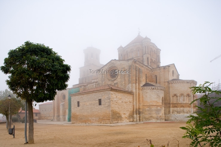 Toro, Zamora