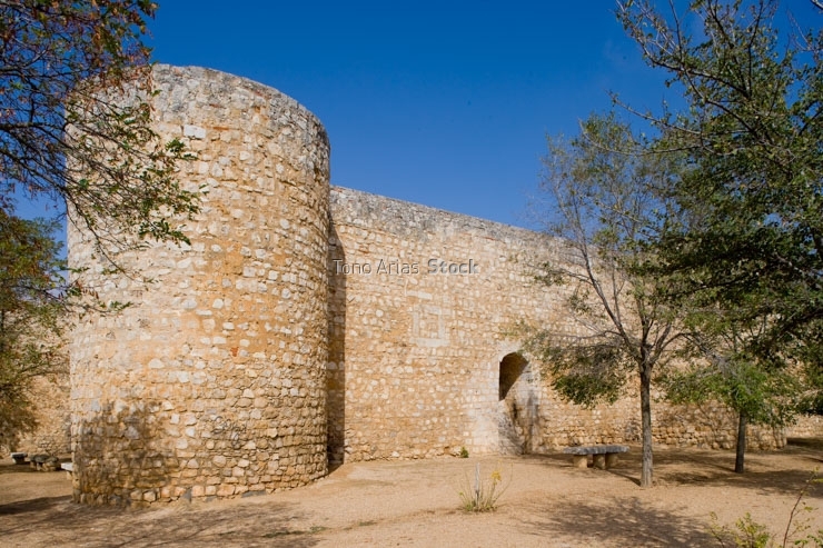Toro, Zamora
