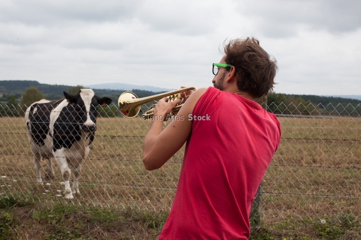 Trompetista con vacas