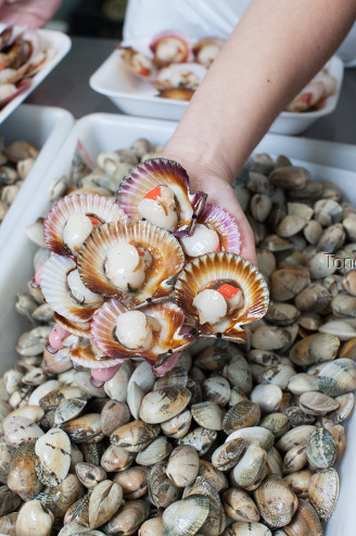 Vieiras, Mercado de Santiago, Galicia