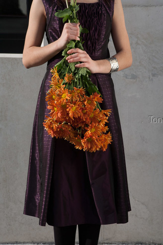 Young woman holding bunch of gerber daisies, portrait