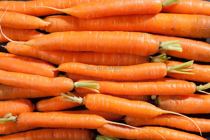 Zanahorias